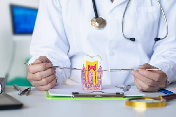 Best Cracked Tooth Emergency Dentist  in New Berlin, WI